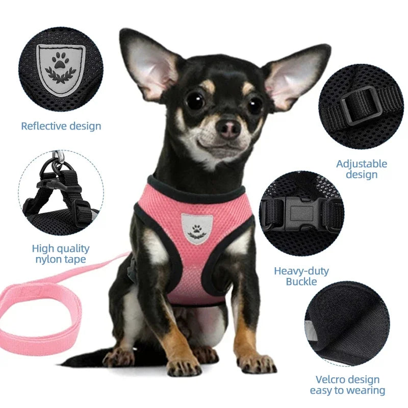 Harnais et laisse d’été pour chats et chiens, gilet réglable en maille de polyester respirante, réfléchissant, pour petits chiens et chats