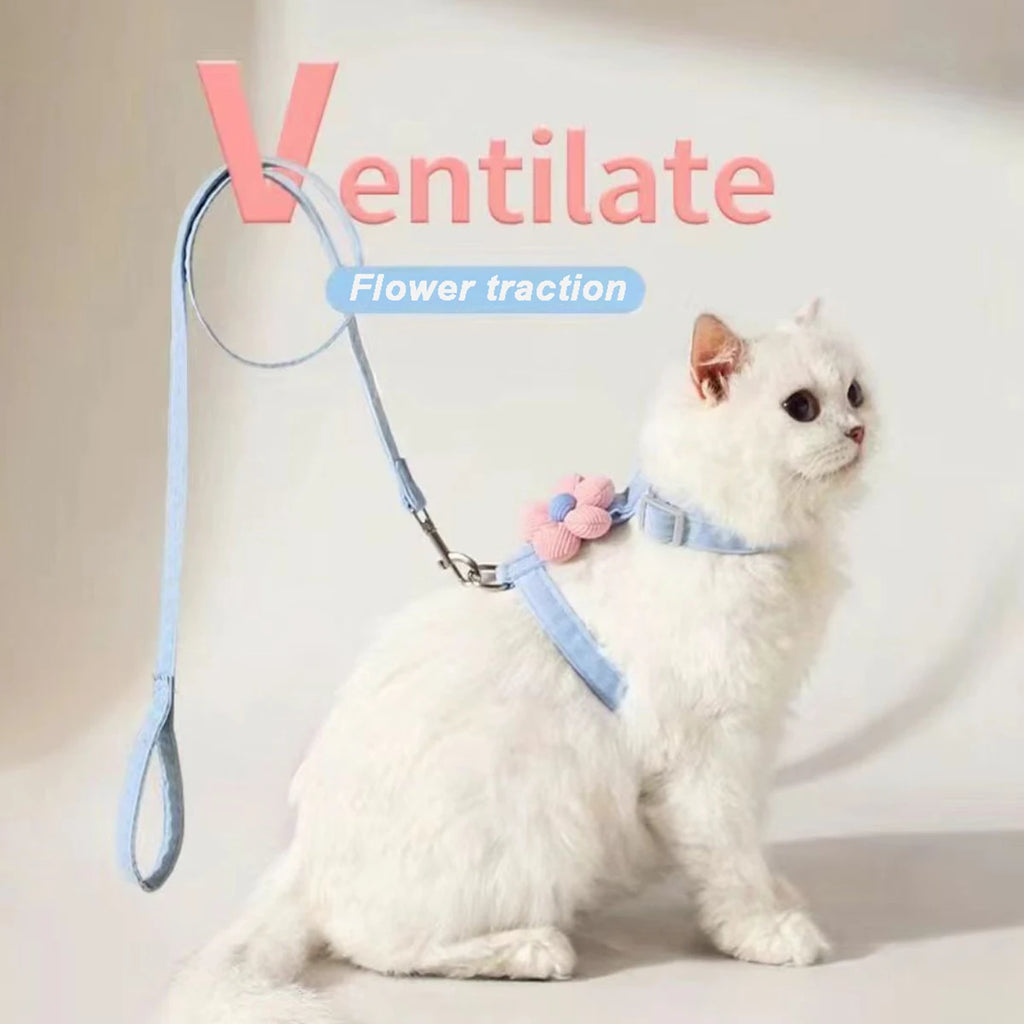 Ensembles harnais et laisse pour chats, harnais réglable pour petits chiens, laisse et harnais respirants pour promener les chiens, sangle pour chien, accessoire pour chat
