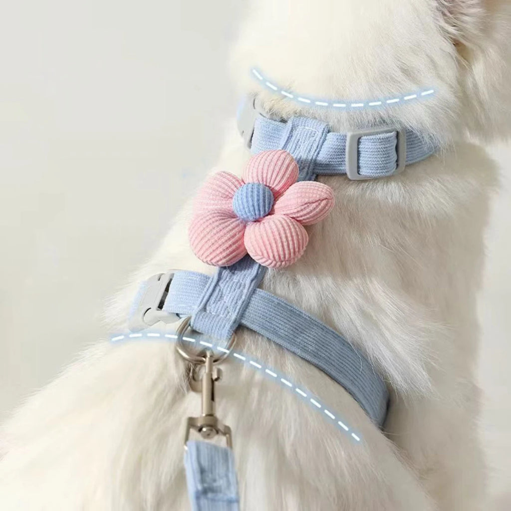 Ensembles harnais et laisse pour chats, harnais réglable pour petits chiens, laisse et harnais respirants pour promener les chiens, sangle pour chien, accessoire pour chat
