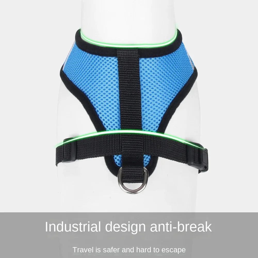 Harnais et laisse d’été pour chats et chiens, gilet réglable en maille de polyester respirante, réfléchissant, pour petits chiens et chats