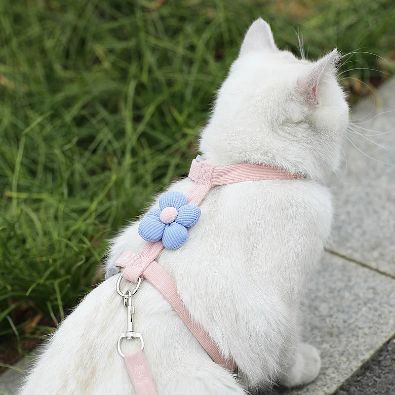 Ensembles harnais et laisse pour chats, harnais réglable pour petits chiens, laisse et harnais respirants pour promener les chiens, sangle pour chien, accessoire pour chat