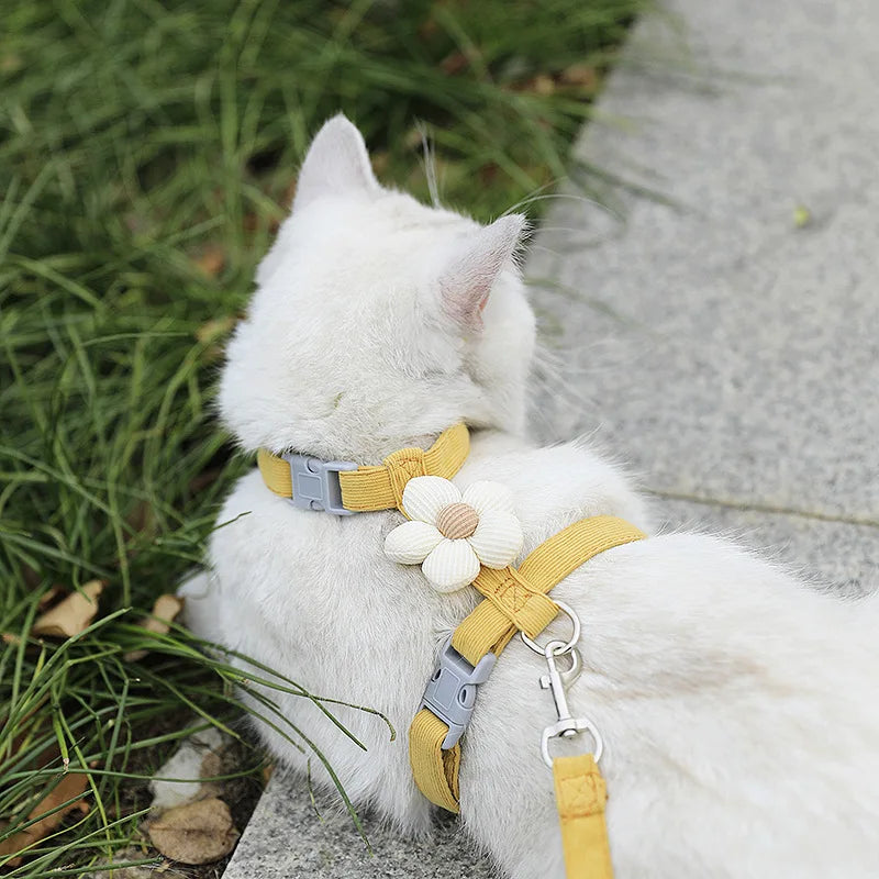 Ensembles harnais et laisse pour chats, harnais réglable pour petits chiens, laisse et harnais respirants pour promener les chiens, sangle pour chien, accessoire pour chat