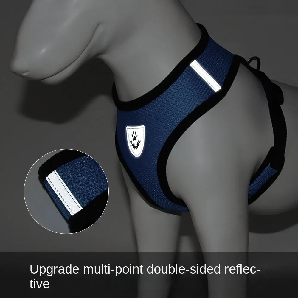 Harnais et laisse d’été pour chats et chiens, gilet réglable en maille de polyester respirante, réfléchissant, pour petits chiens et chats