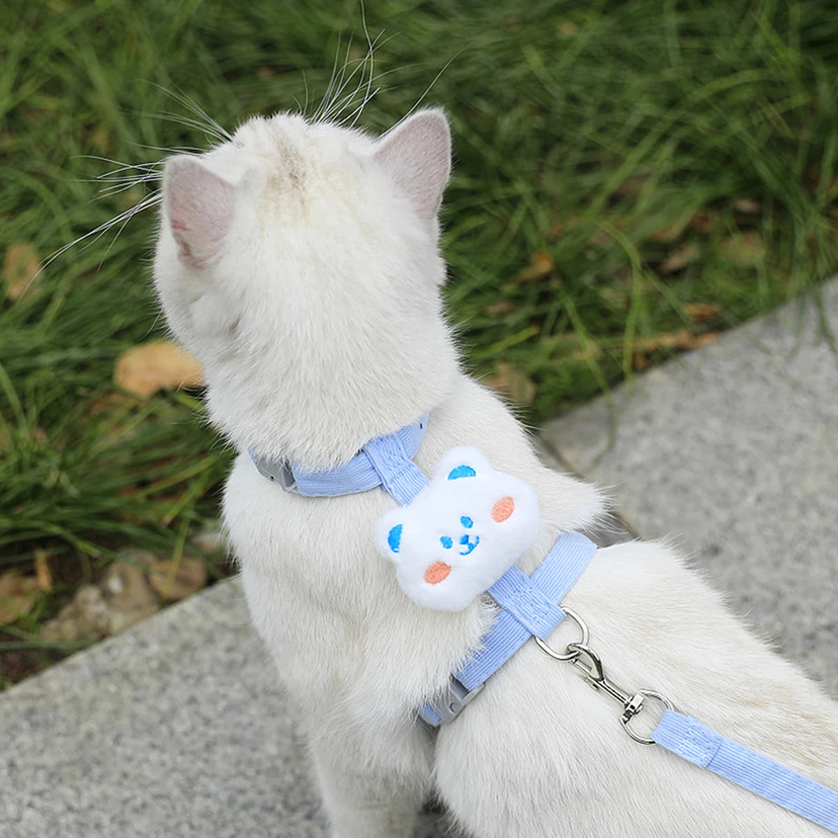 Cat Harness and Leash Sets Adjustable Dog Harness for Small Dog Leash Breashable Pet Harness Out Walking Dog Strap Cat Accessory