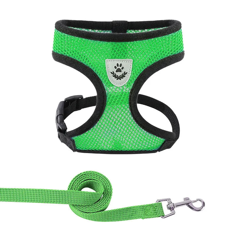 Harnais et laisse d’été pour chats et chiens, gilet réglable en maille de polyester respirante, réfléchissant, pour petits chiens et chats