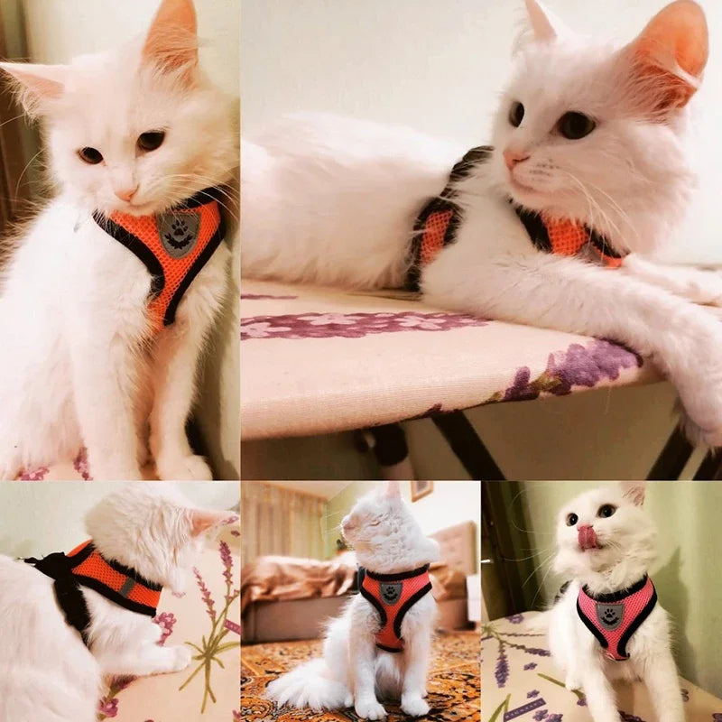 Harnais et laisse d’été pour chats et chiens, gilet réglable en maille de polyester respirante, réfléchissant, pour petits chiens et chats